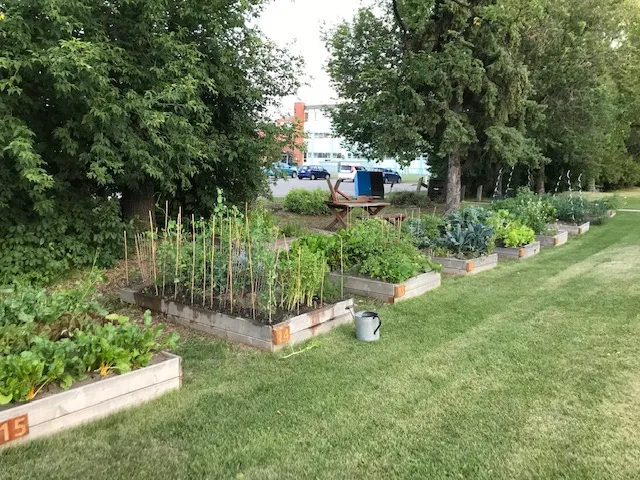 Book your garden plot